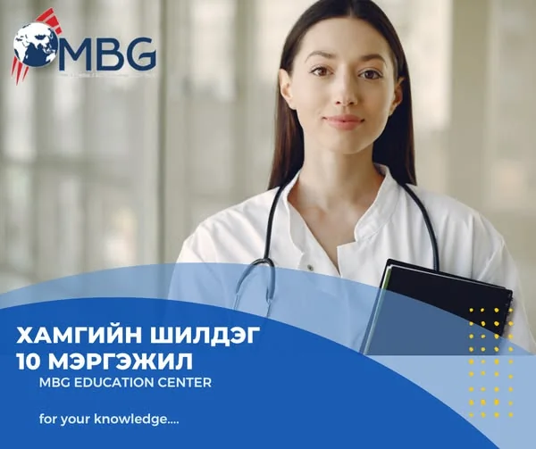 ХАМГИЙН ШИЛДЭГ 10 МЭРГЭЖИЛ